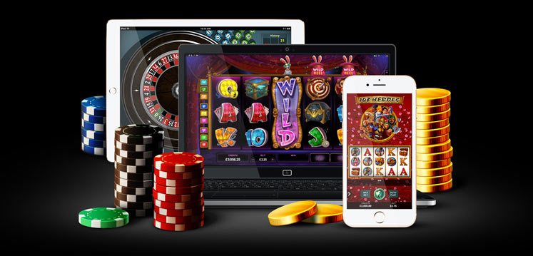 Discover the Excitement of DogsFortune Casino 11 Discover the Excitement of DogsFortune Casino 11